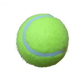 כדור טניס מצפצף