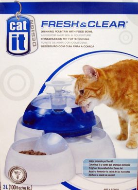 תמי בר לחתול - מזרקת מים לשתייה