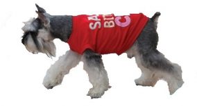 חולצת ססי ביצ'י צ'יק לכלב