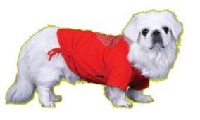 חולצה אדומה עם לב לכלב
